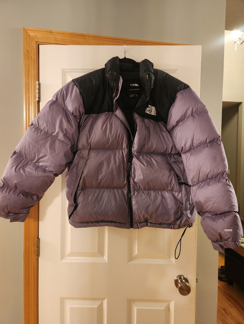 The North Face Men's Puffy Jacket in Lavender with Black Yoke